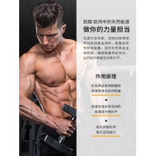 Muscletech肌肉科技一水肌酸男女健身增肌爆發力耐力蛋白粉非氮泵