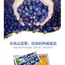 湯臣倍健藍莓葉黃素體素葉黃色素片非美國專利保健品