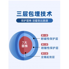 樂力益生菌大人孕婦成人兒童女性腸胃腸道益生元復合調理凍干粉