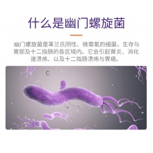 Accu News/準信幽門螺旋桿菌檢測試紙胃炎胃潰瘍家用檢測試紙