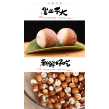 福東海200克茶新鮮干貨雞頭米芡實米雞頭果養生特產煲湯煮粥