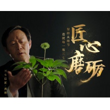 云南白藥三七粉 豹七 極細粉  配小勺 云南文山三七頭打粉