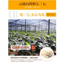 【艾米推薦】云南白藥凍干三七粉80g文山產37粉田七頭打粉