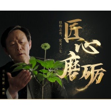 云南白藥凍干三七切片30g文山產37粉田七頭切片 官方
