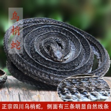 烏蛇榮皮湯【李可經驗專輯】 烏梢蛇榮皮湯丸 榮皮丸風寒阻絡型